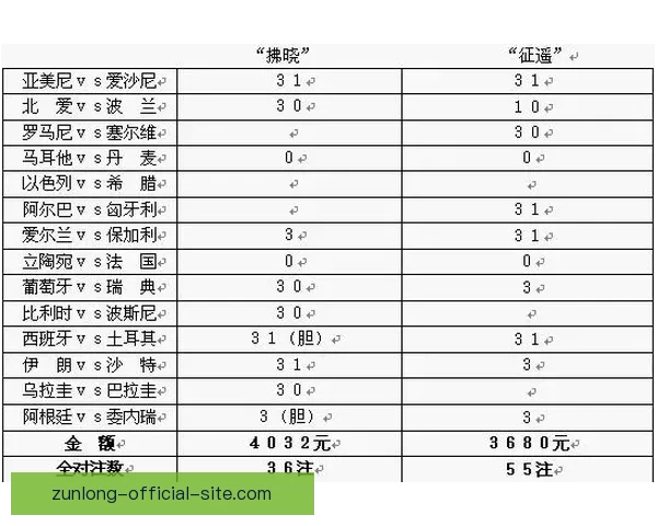 体育竞猜赔率解析与策略探讨如何精准把握赛事结果预测技巧